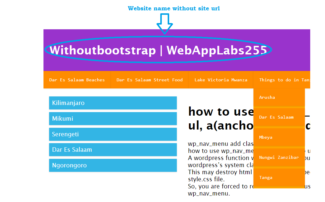 wordpress function for site url