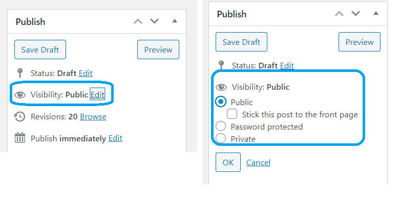 wordpress function post title protected