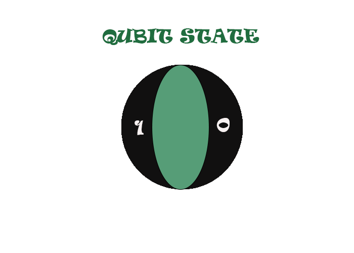 QUBIT STATE
